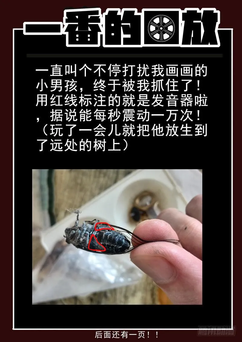 41死 沮丧的撸射 第10页