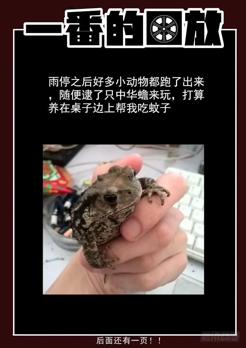 51死 血光初兆 第12页