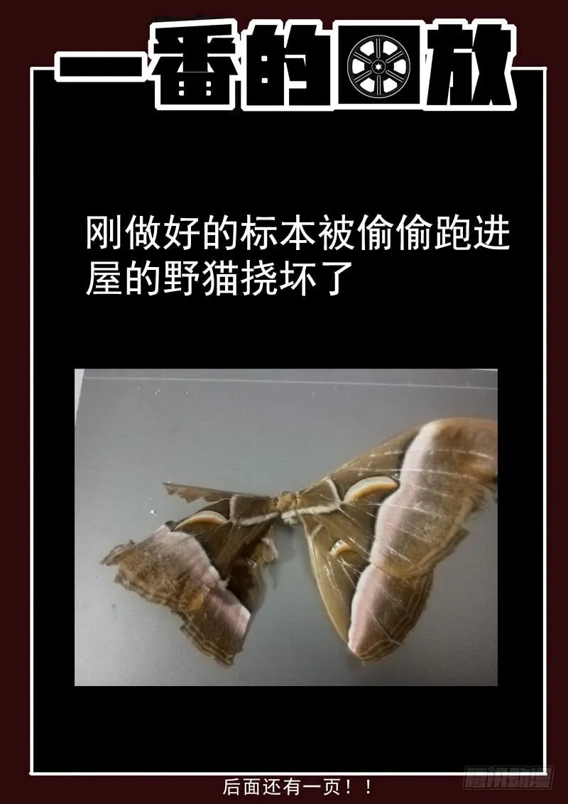 60死 陡然生变！ 第11页
