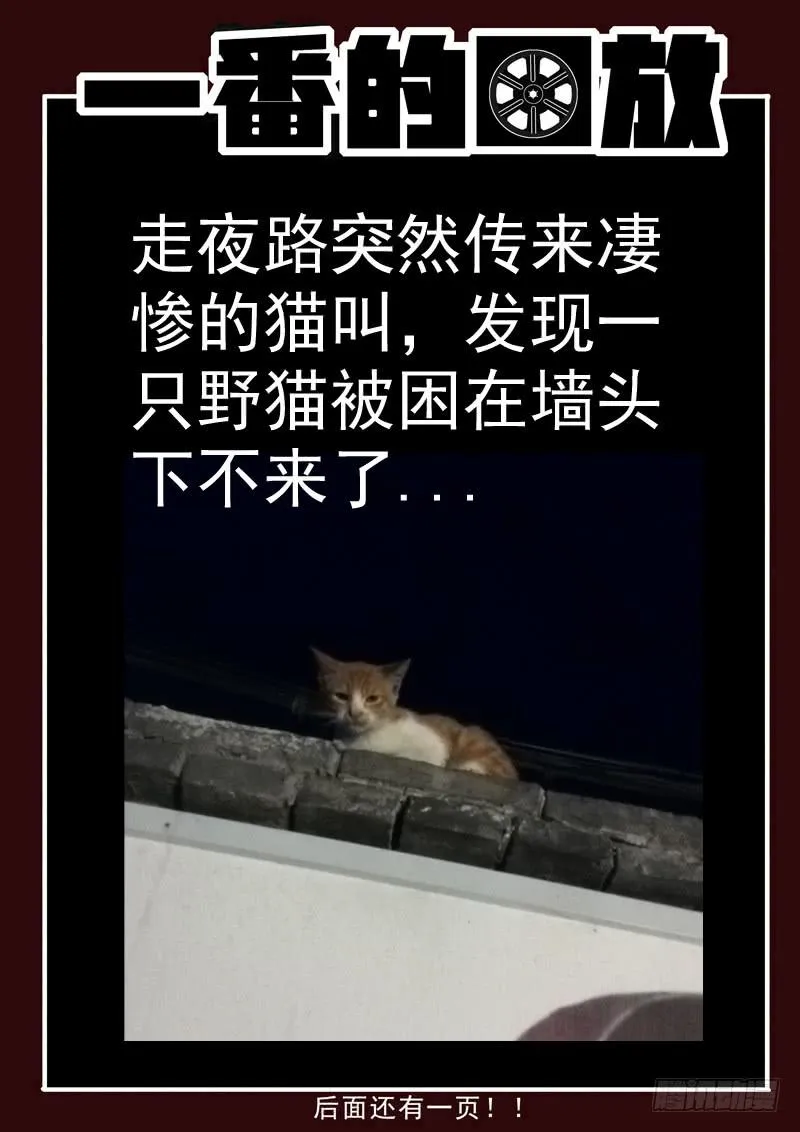 67死 人性已死 第11页