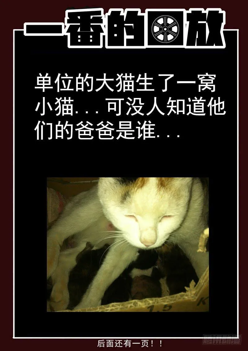 82死 重逢 第12页