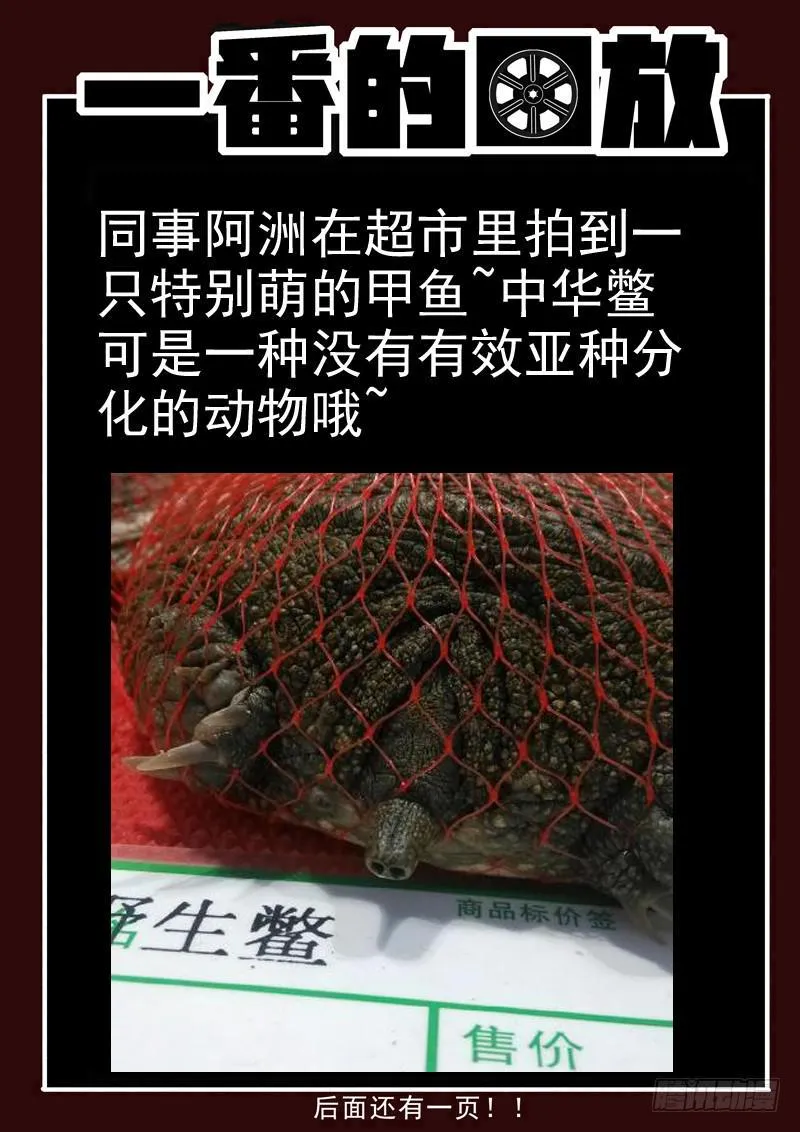 94死 神经紊乱 第11页