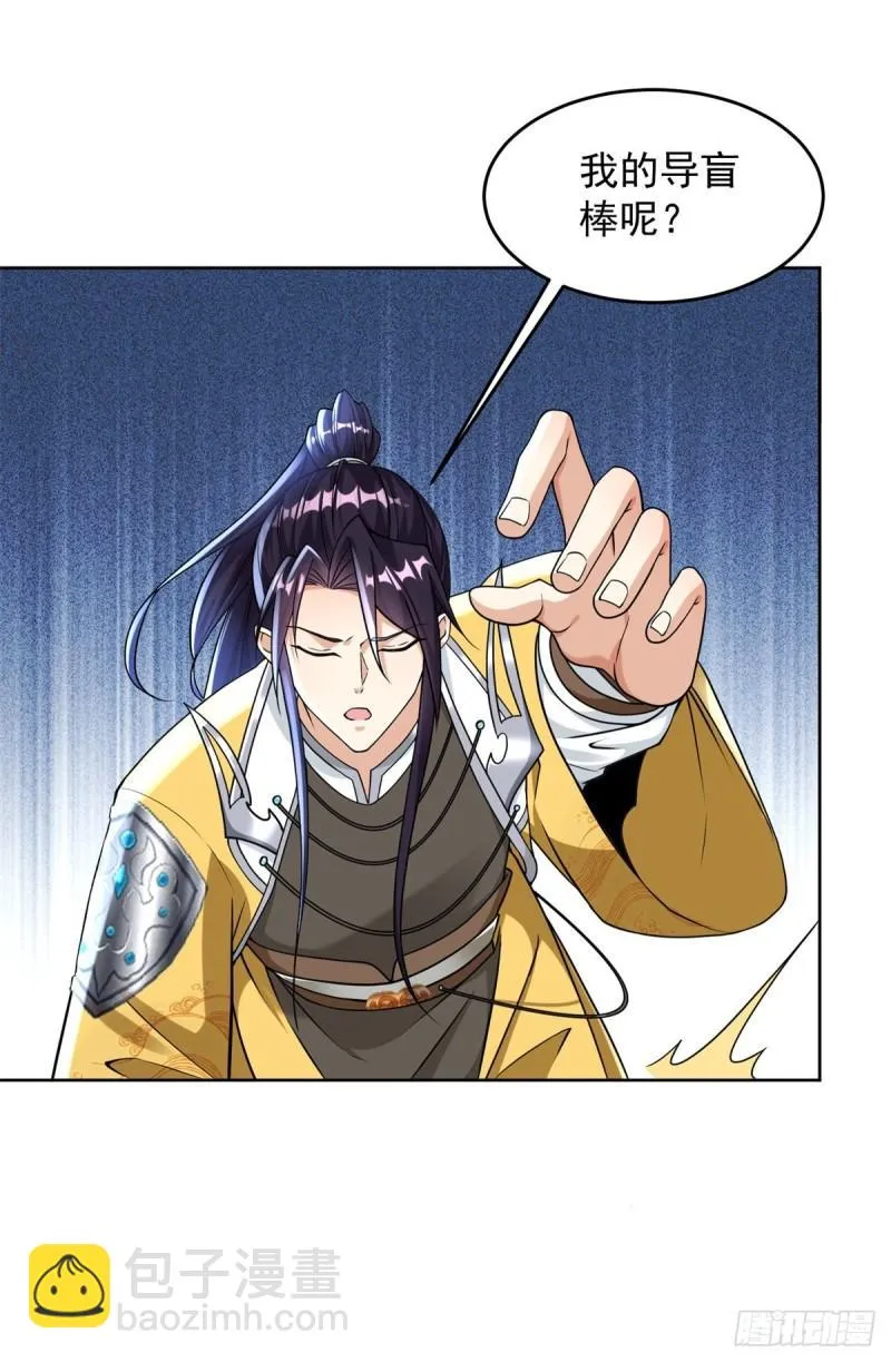 我是真瞎 第11页