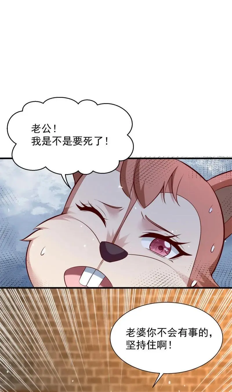 603 灵石 第12页