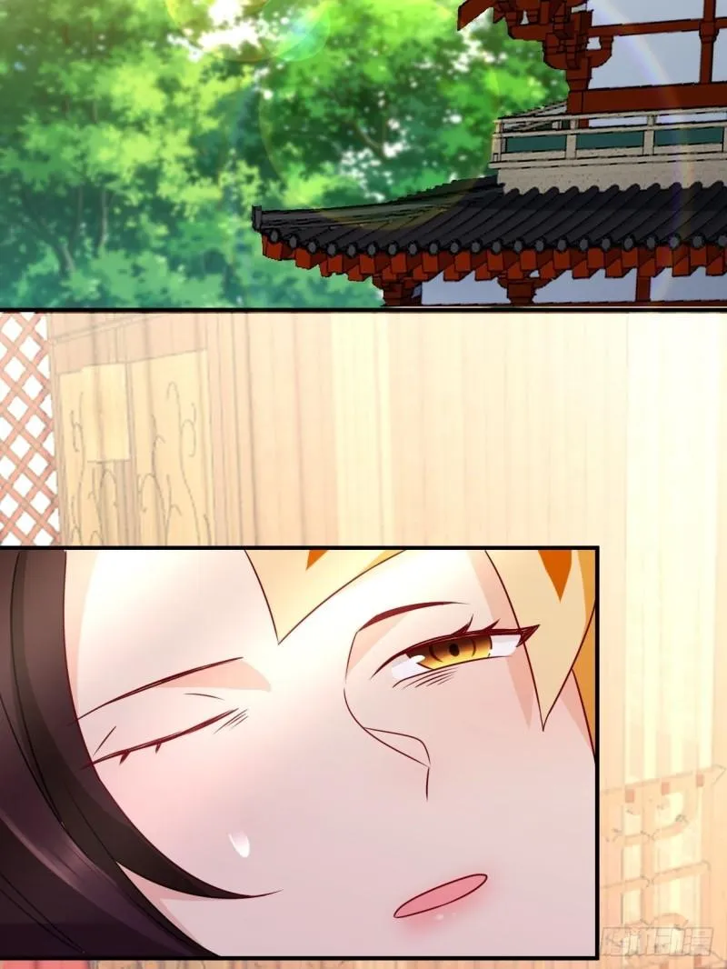同谋 第17页