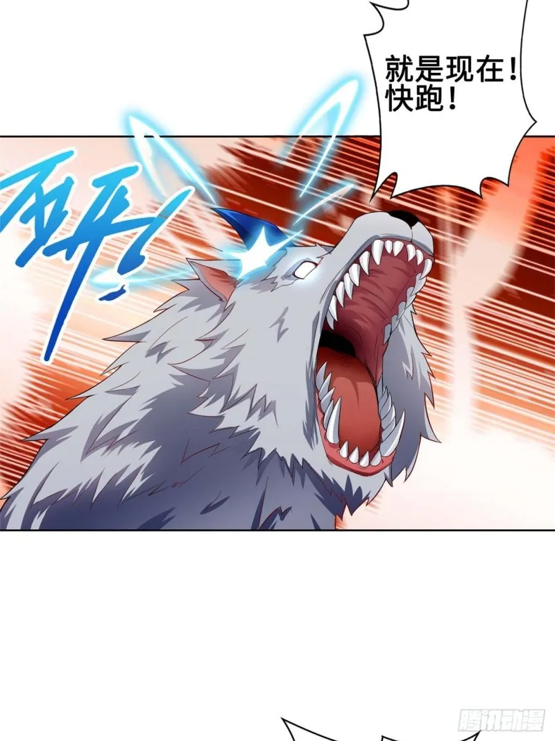 黄毛鸡血脉 第19页