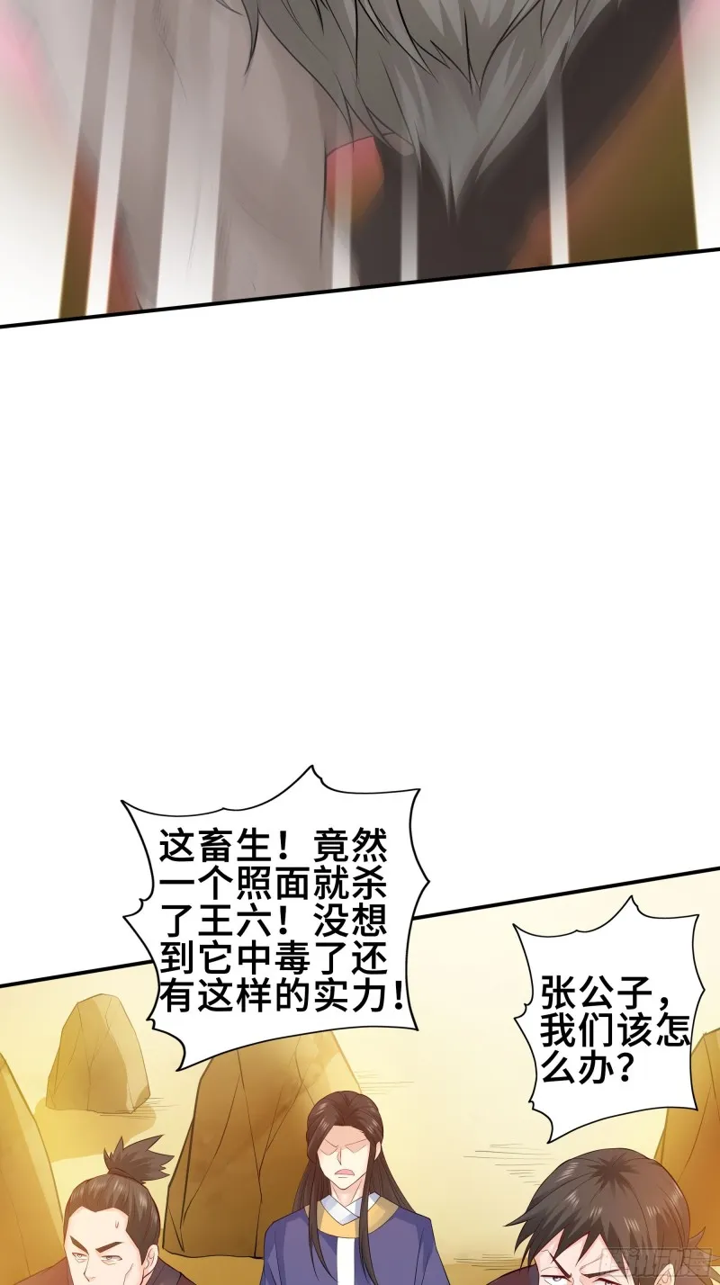 武皇剑狮 第27页