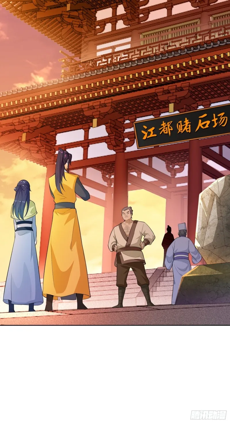江都赌石王 第13页