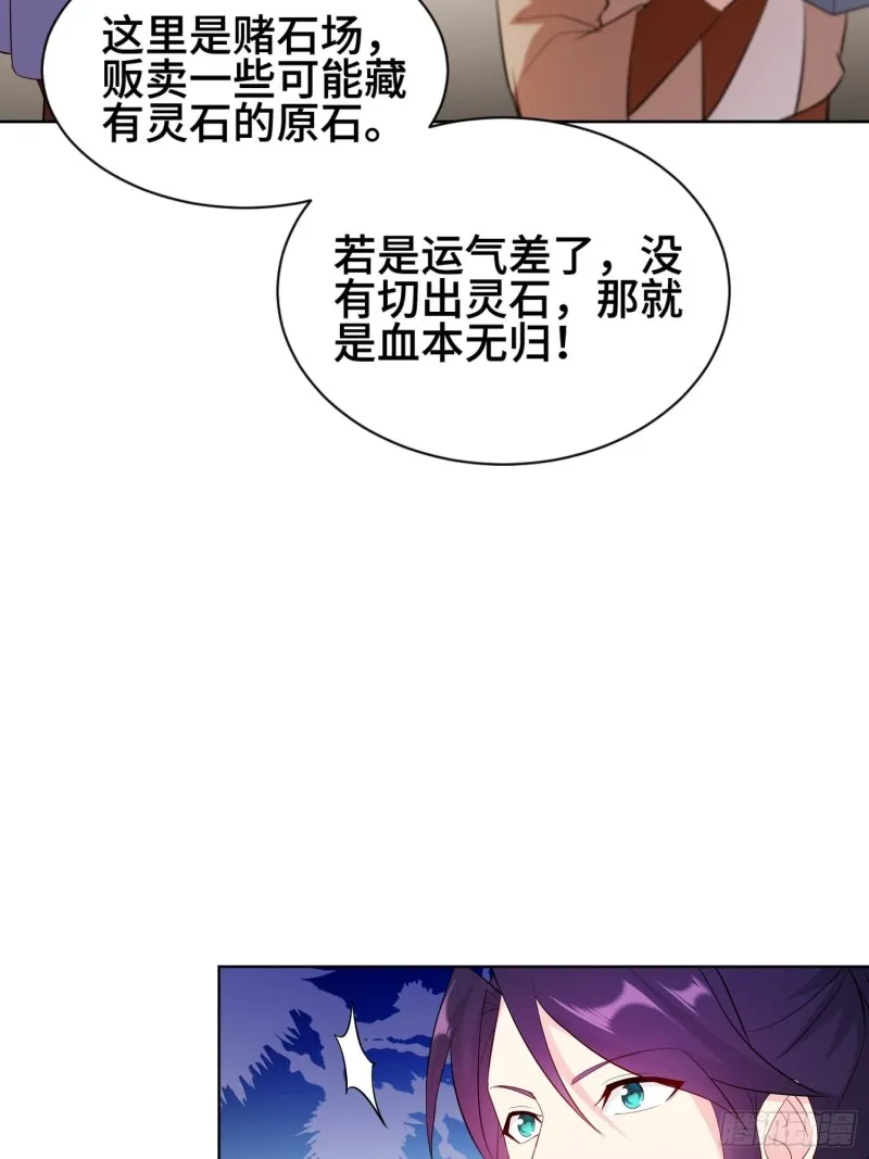 江都赌石王 第15页