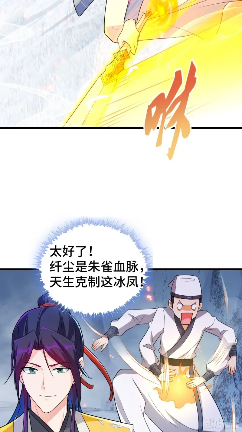雪原冰凤 第24页