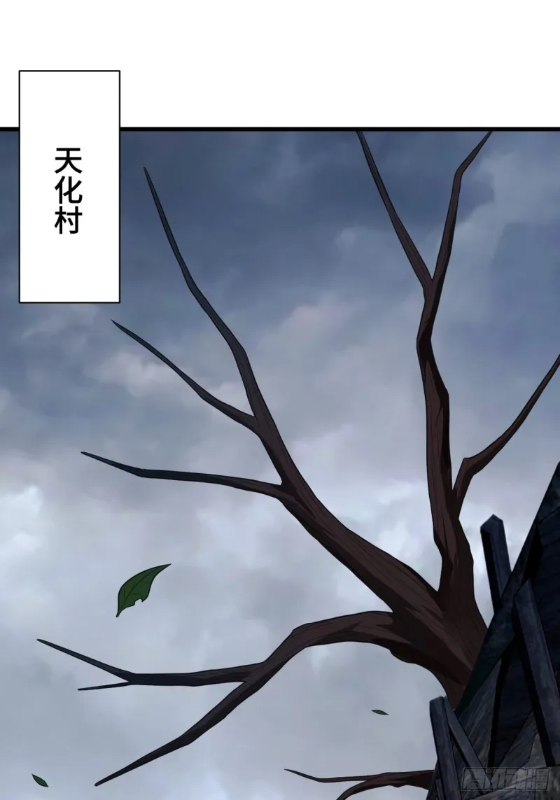 天化村 第20页