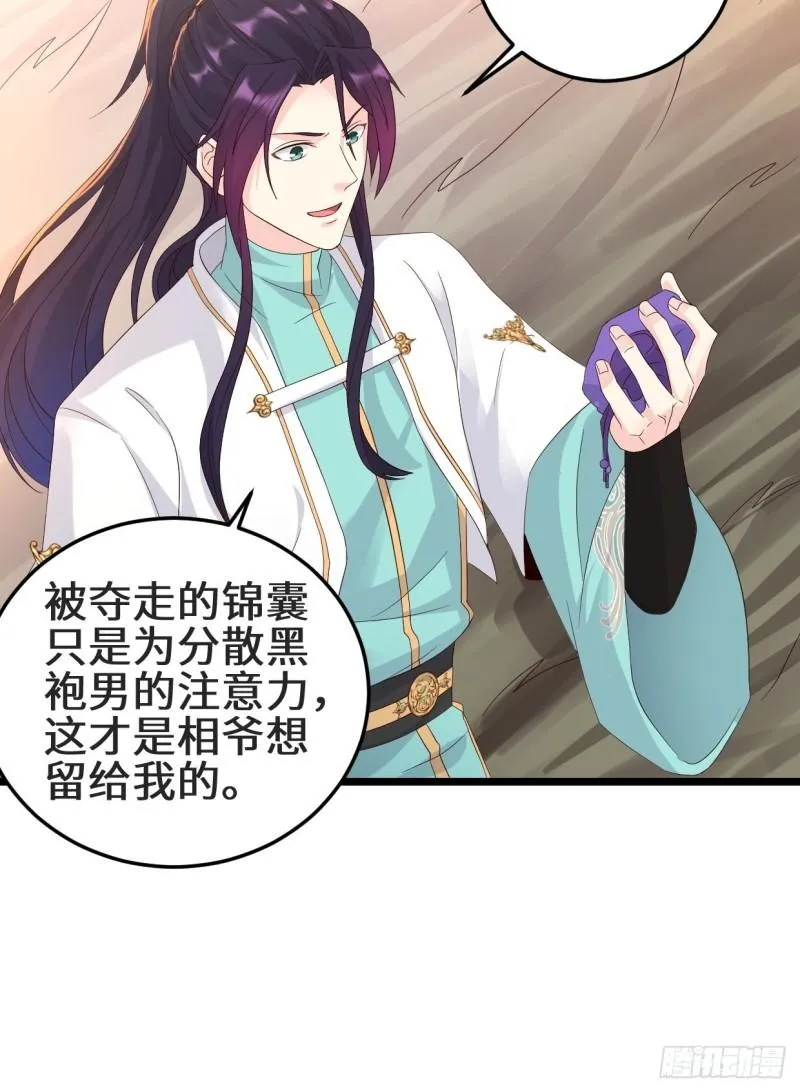 最后的谋略 第15页