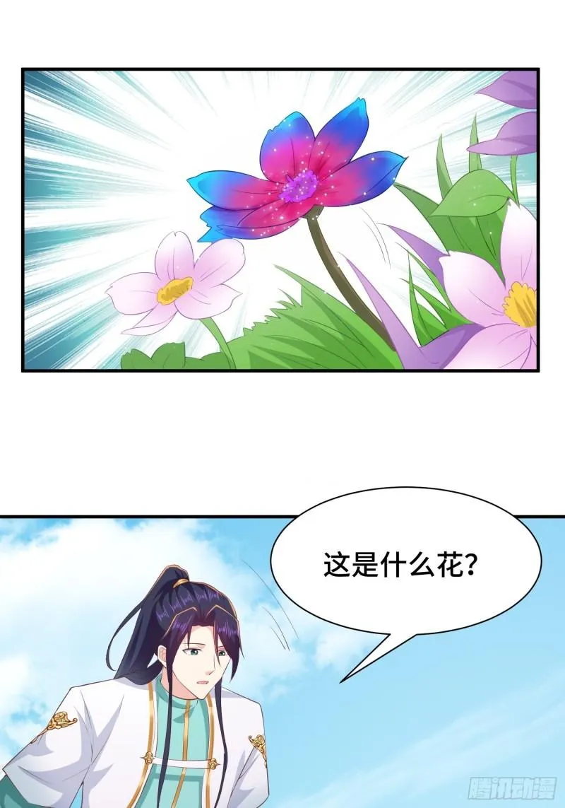 锦绣王朝的宝藏 第48页