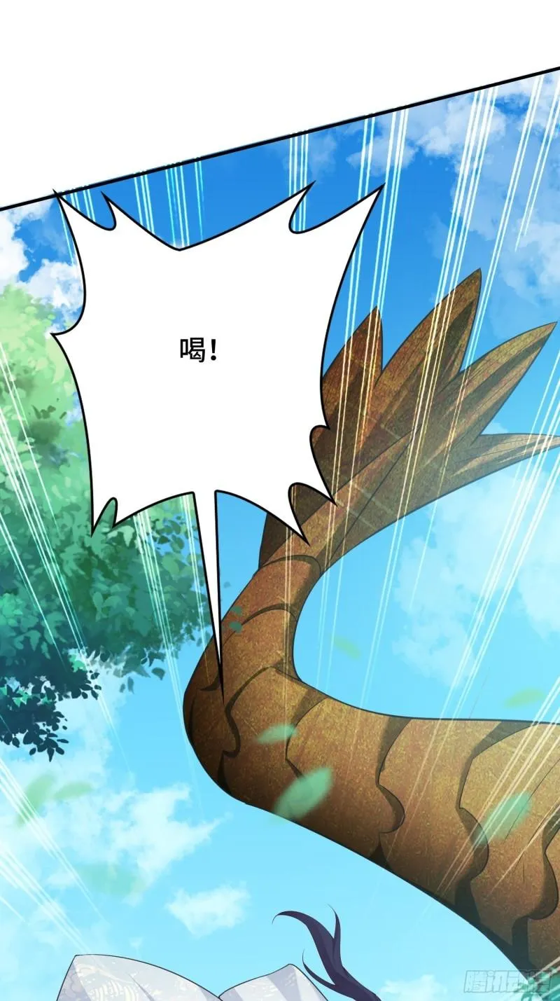 花海 第3页