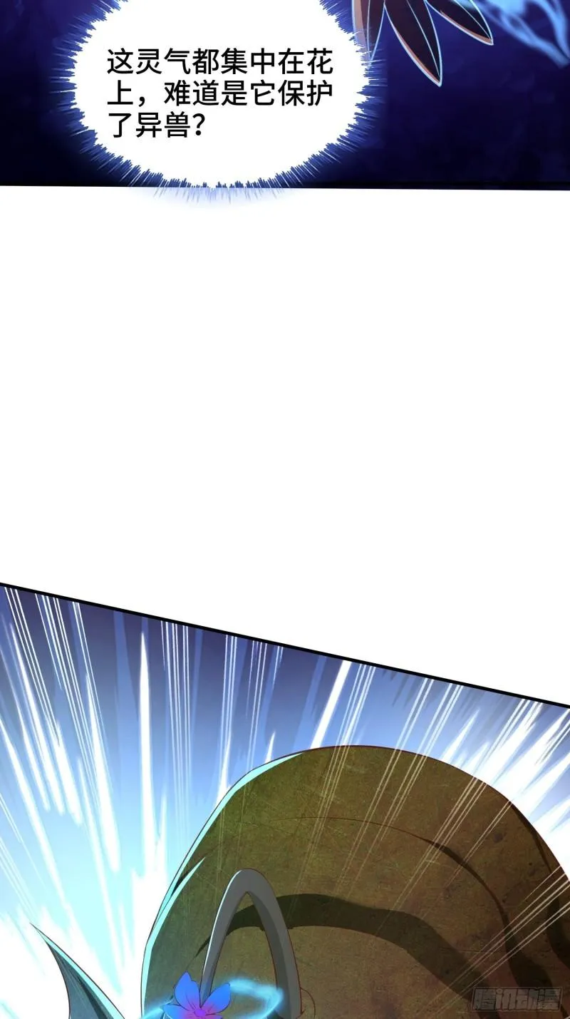 花海 第10页