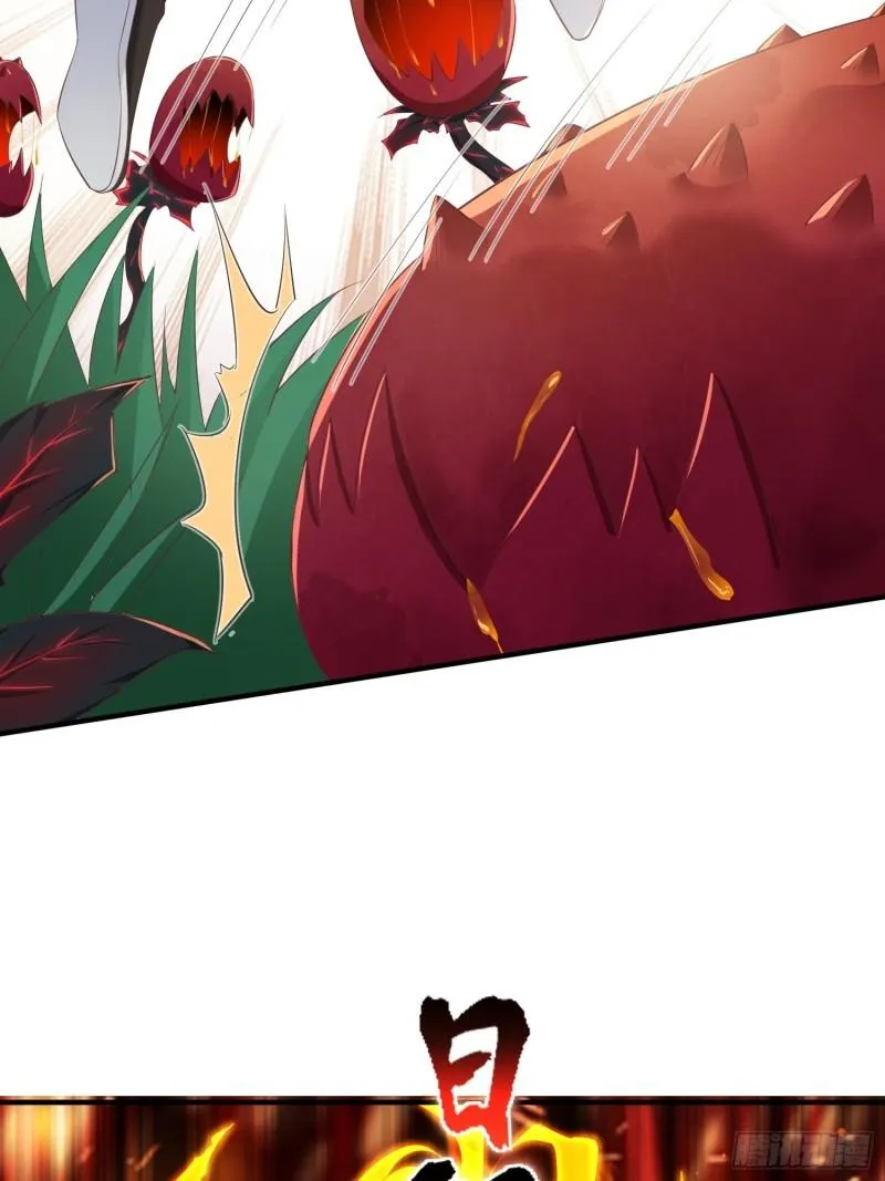 花海 第18页
