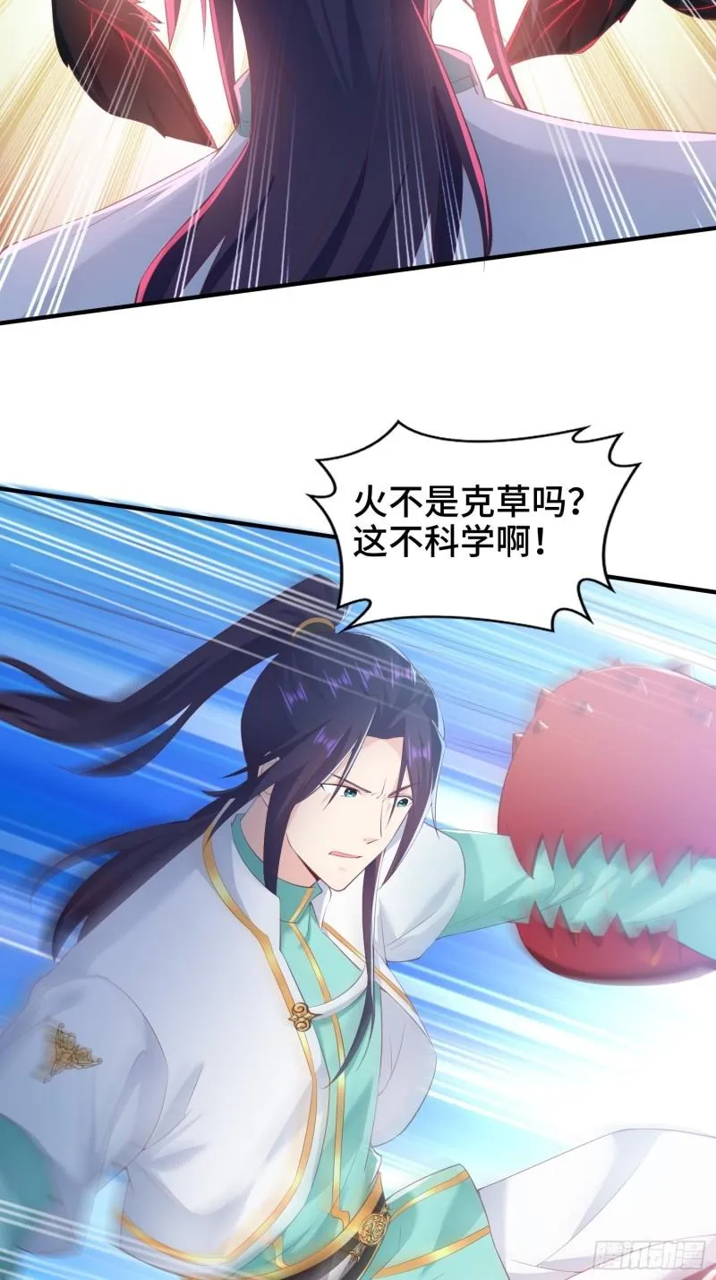 花海 第23页