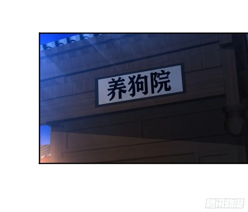 夜探养狗院 第17页