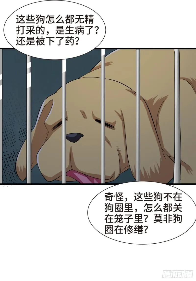 结实的胸肌 第19页