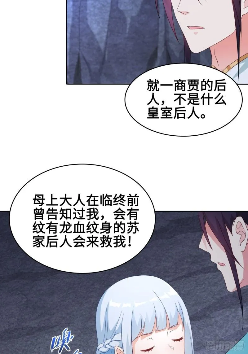 苏家的后人 第20页