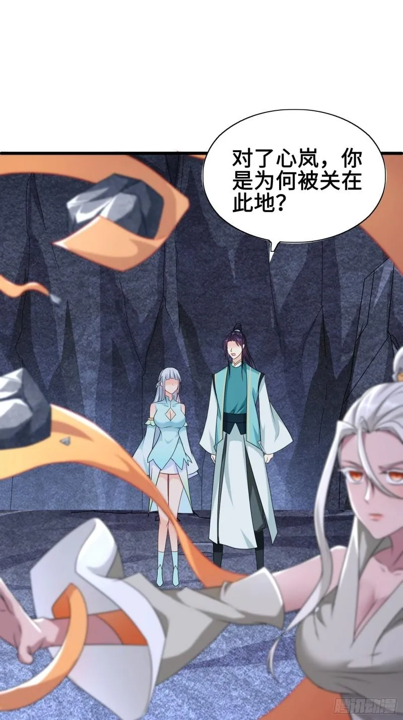 苏家的后人 第28页