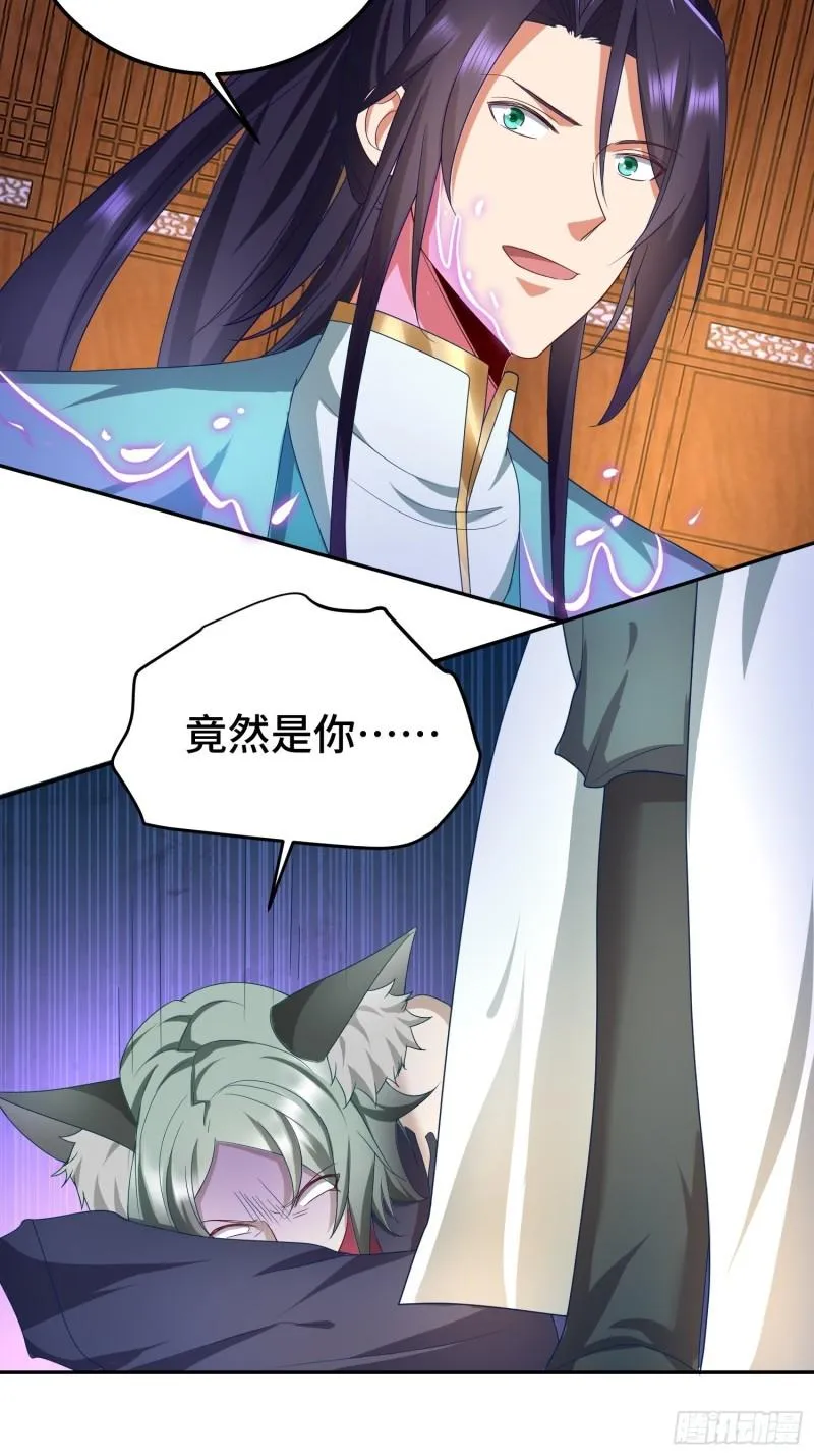 狸猫换太子 第21页