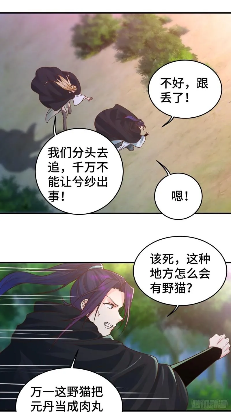 妖猫夺丹 第14页