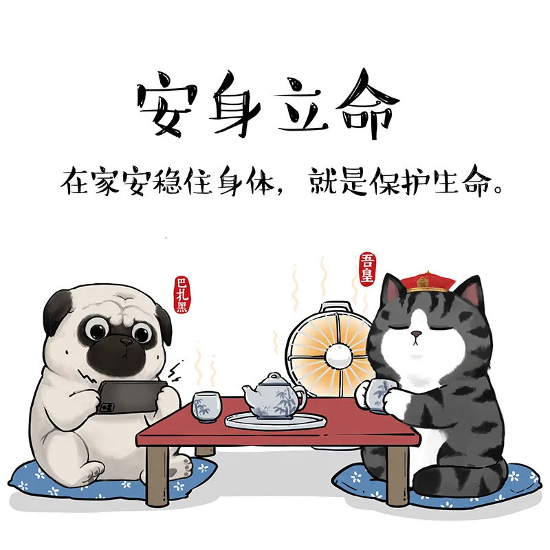 14 《吾皇巴扎黑防疫指南》白茶 第1页