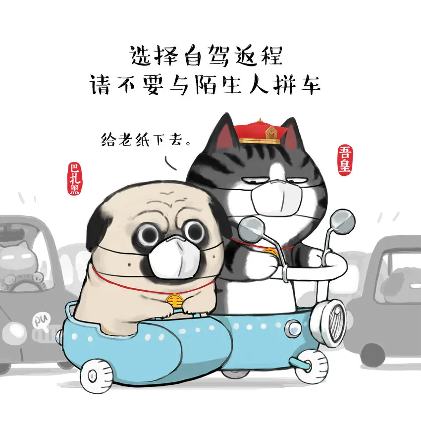 16 《消毒科普》白茶 第3页