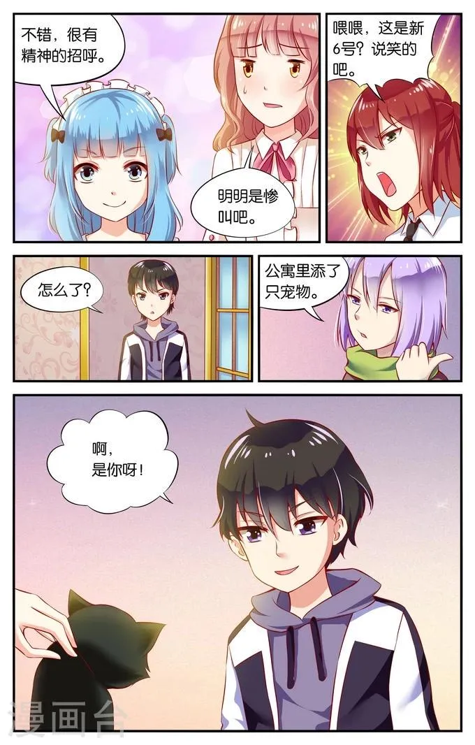 第37话 喵喵喵喵大爷驾到(2) 第1页