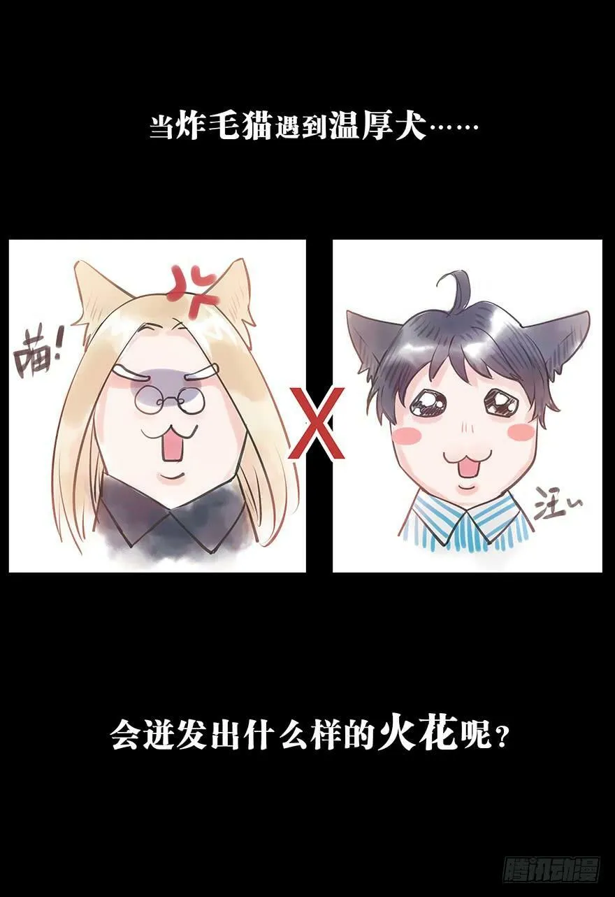 预告 第7页