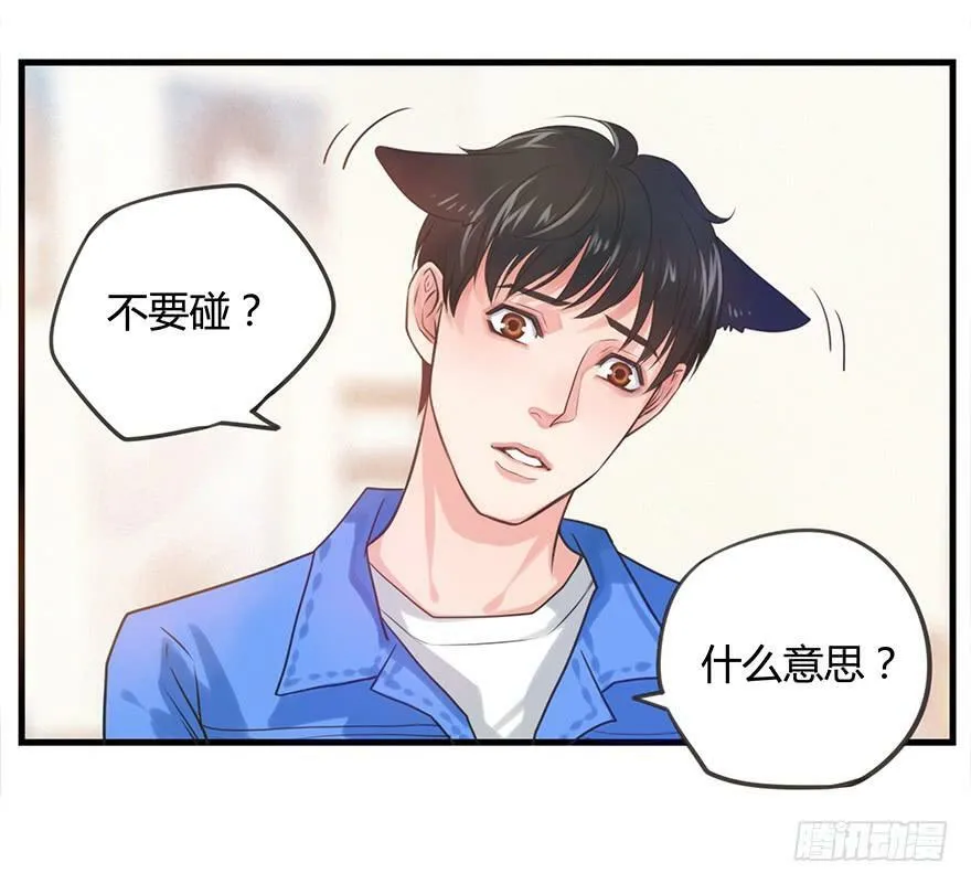 3.不能碰！ 第8页