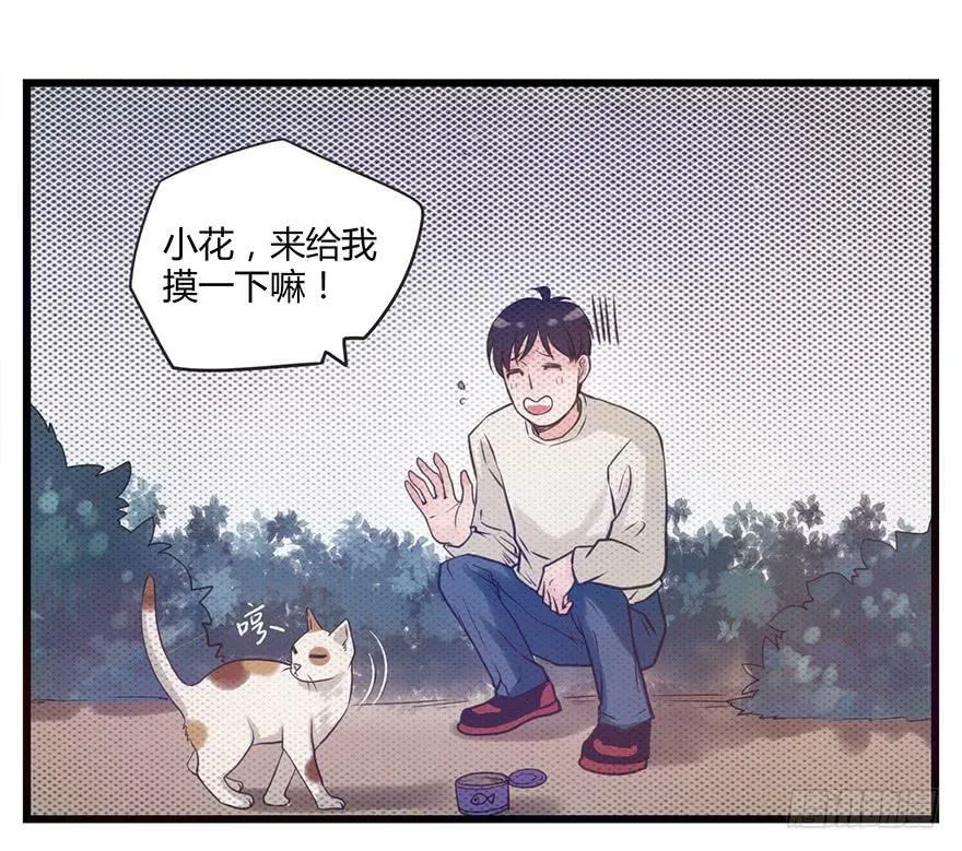 4.互相吸引 第15页