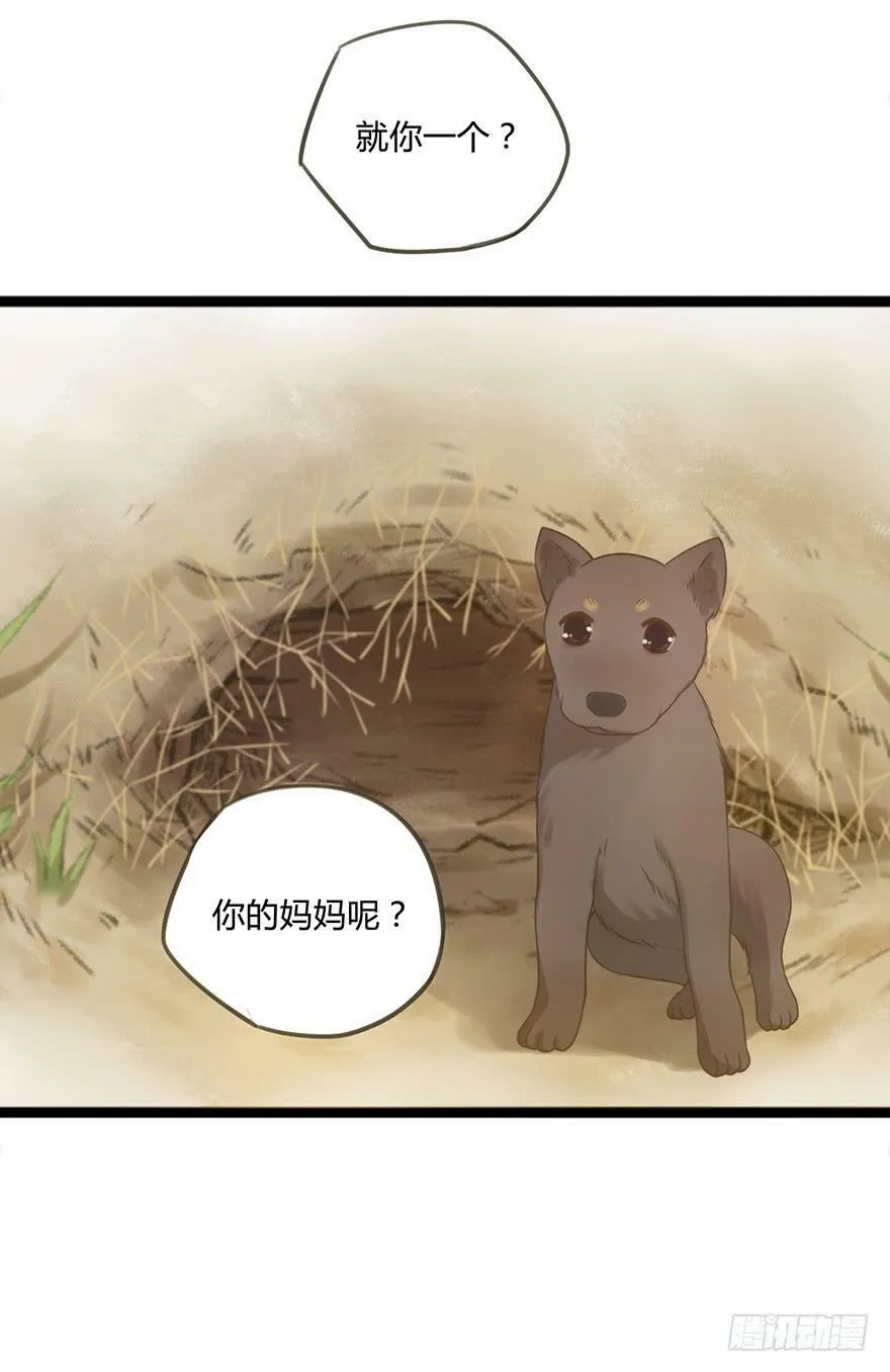 12. 小黑 第5页