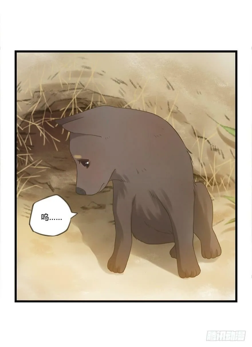 12. 小黑 第6页