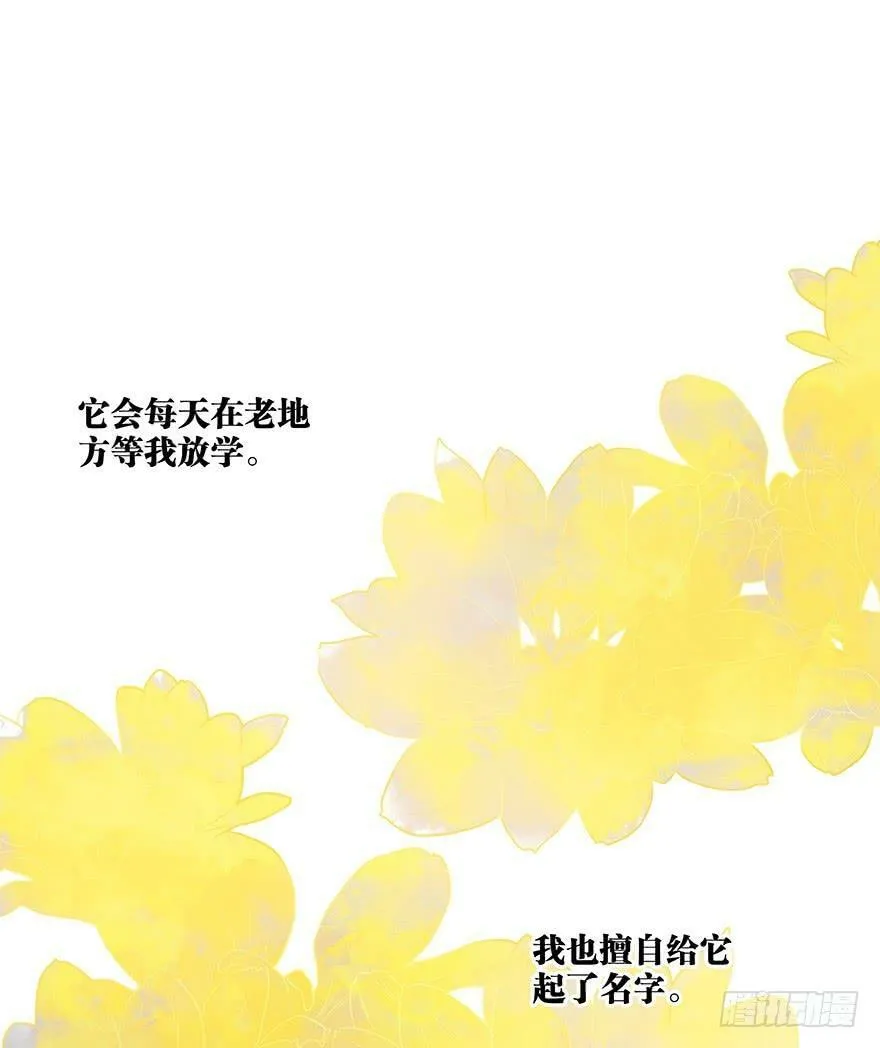 12. 小黑 第9页