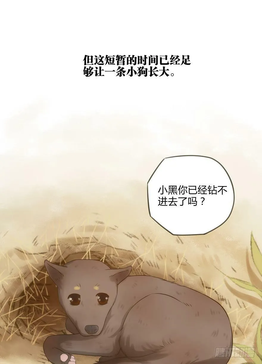 12. 小黑 第14页