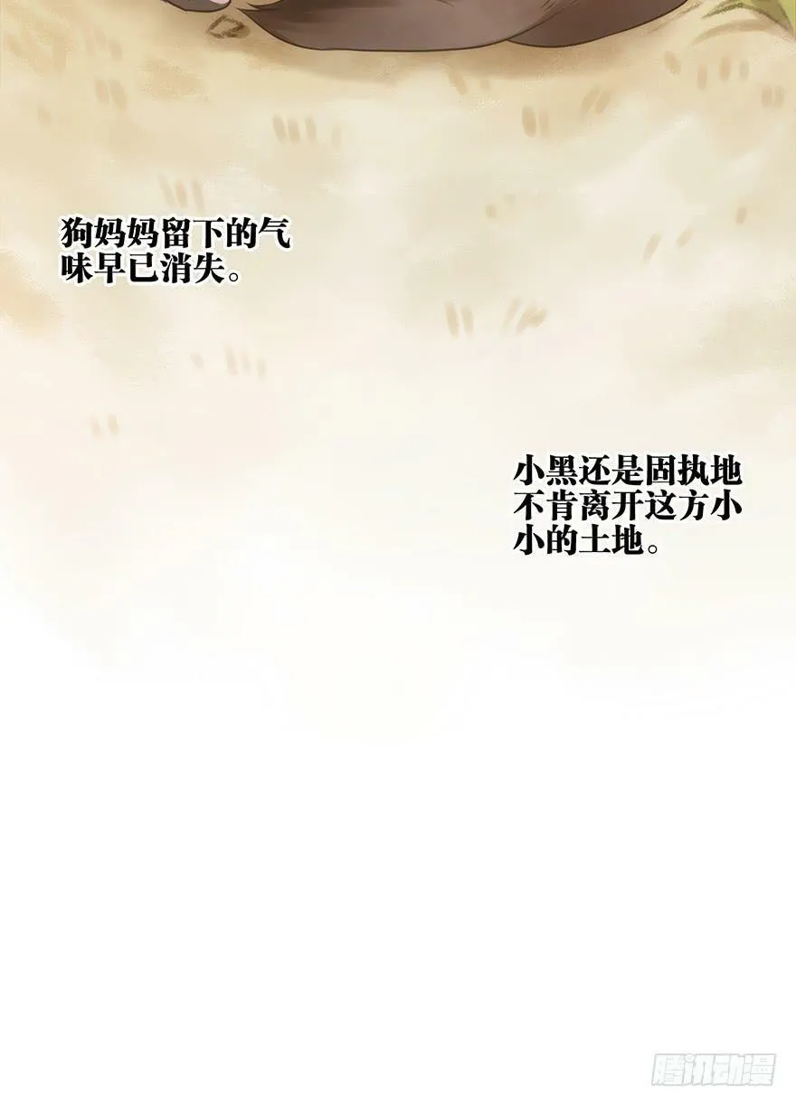 12. 小黑 第15页