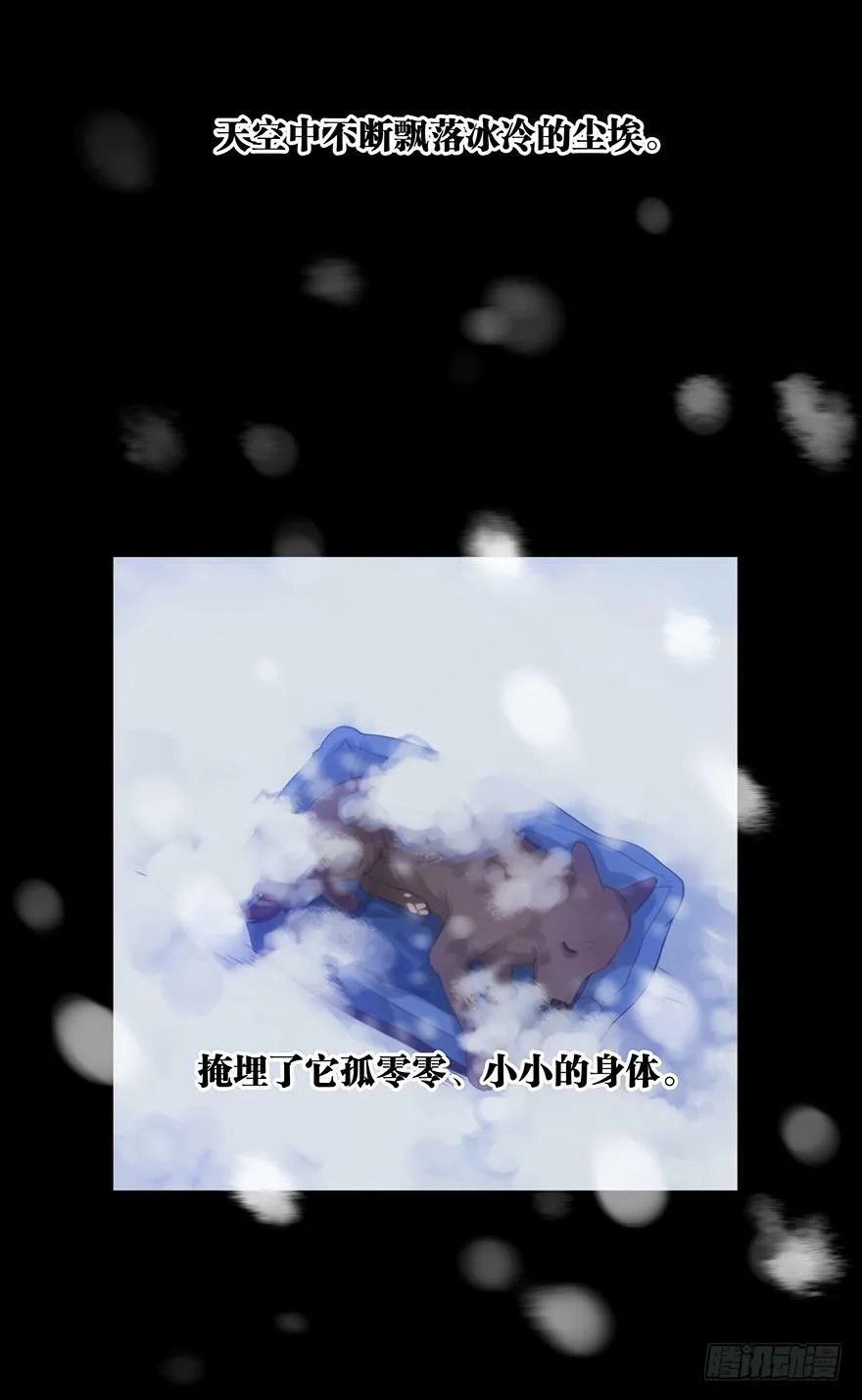 12. 小黑 第39页