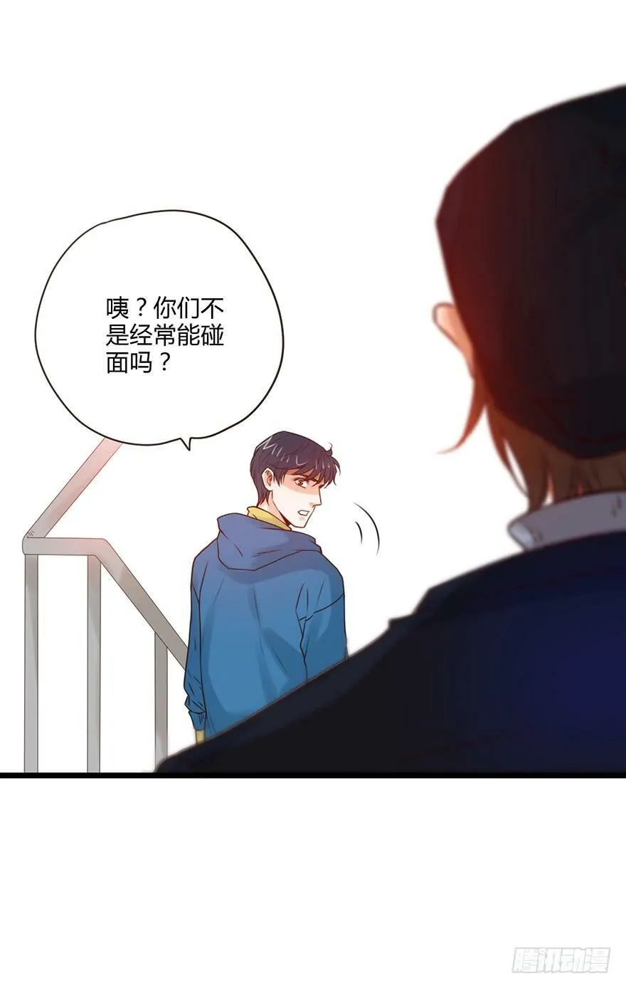 56.四人的乐章 第24页