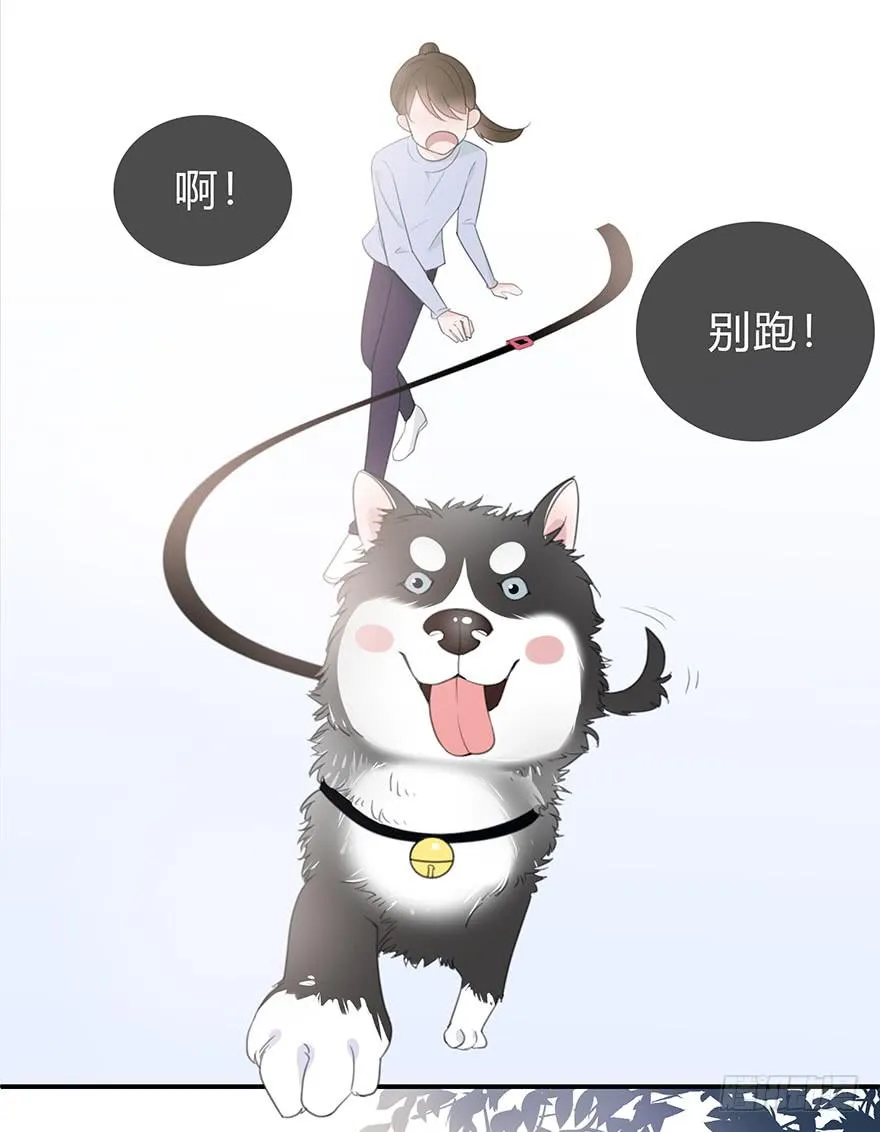 cv橙迟 第68页