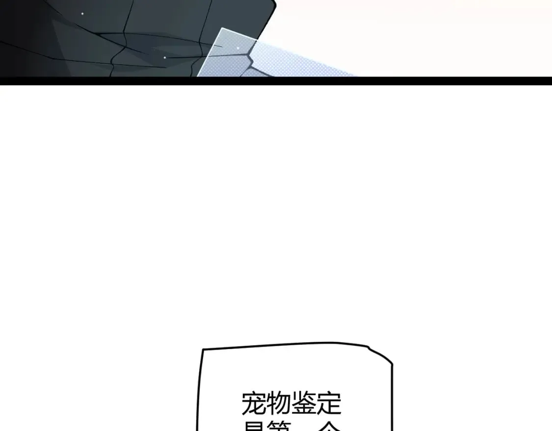 第177话 鉴定失败？！ 第37页