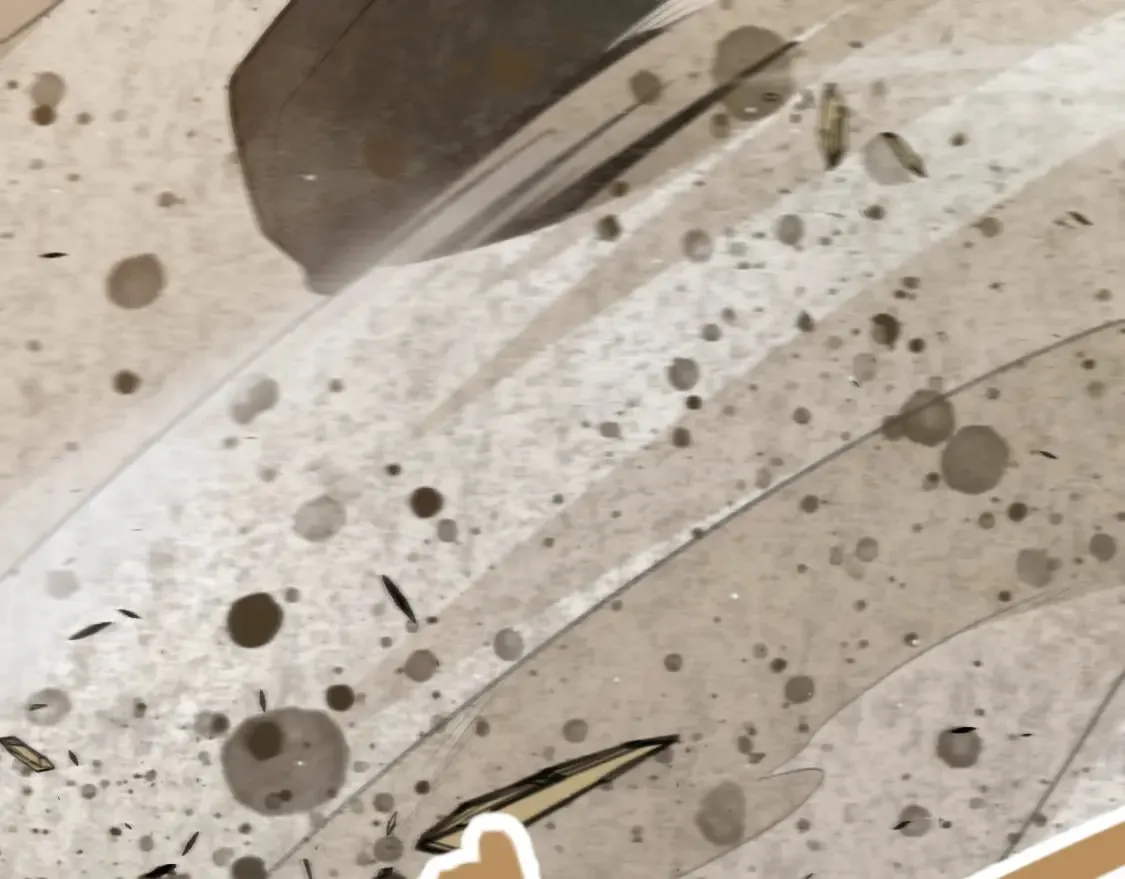 第216话 真正的纳洛 第18页