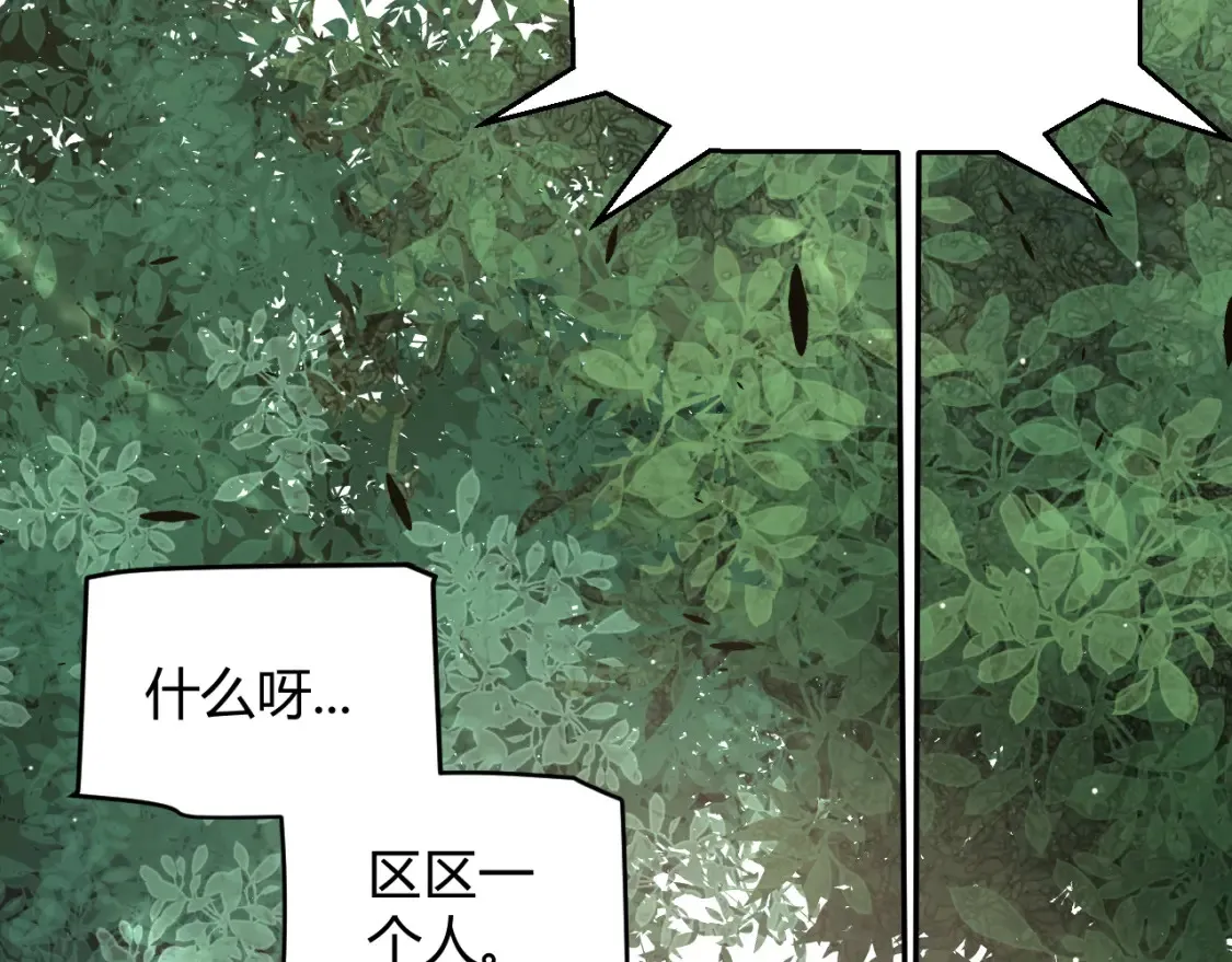 第250话 一人成军的冲击 第15页