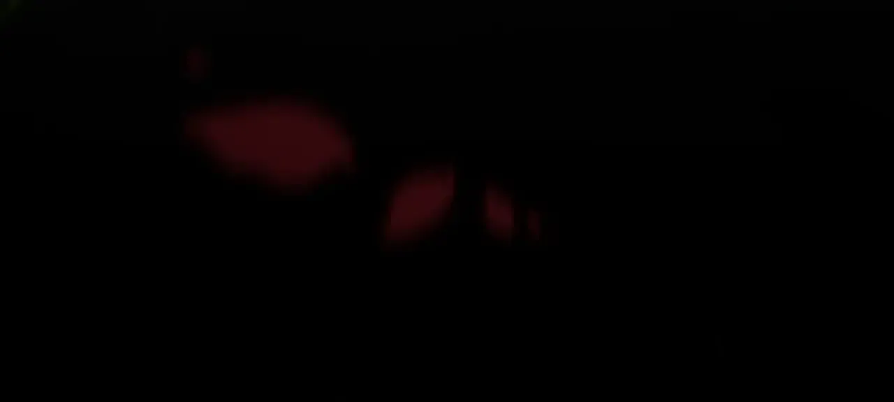 第314话 再唤佣兵！  第162页