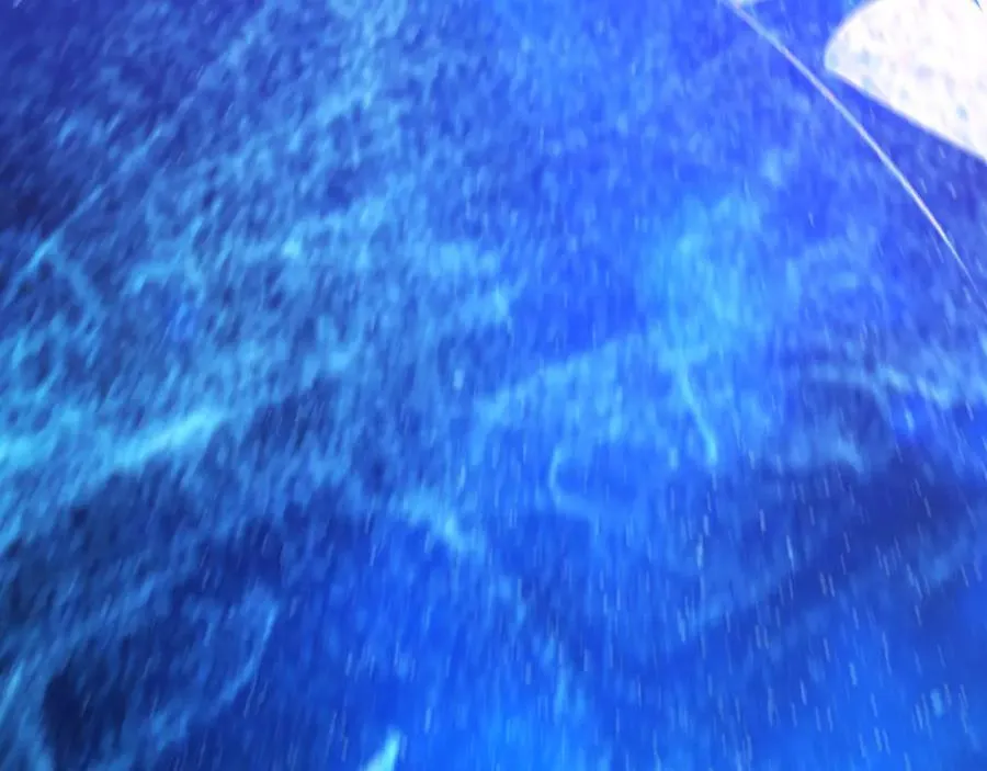 350 回到身边 第191页