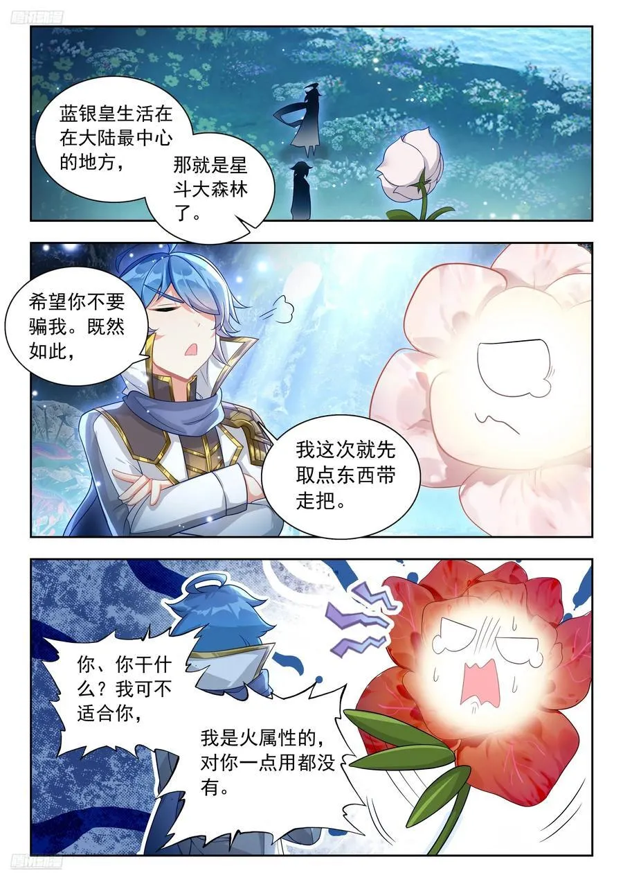 464 八角玄冰草 第2页