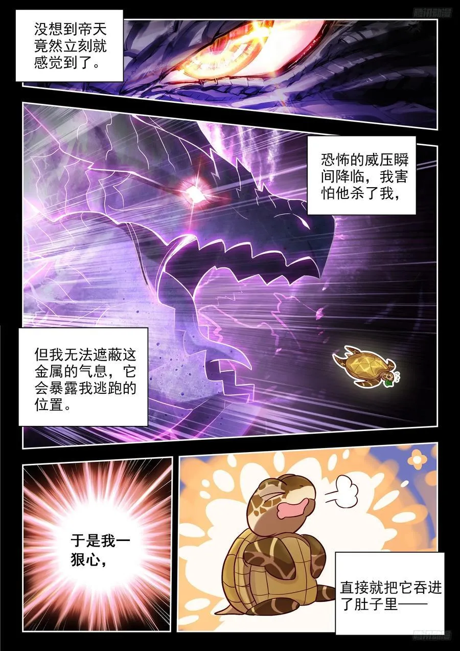 497 悲剧的黄金玳瑁 第12页