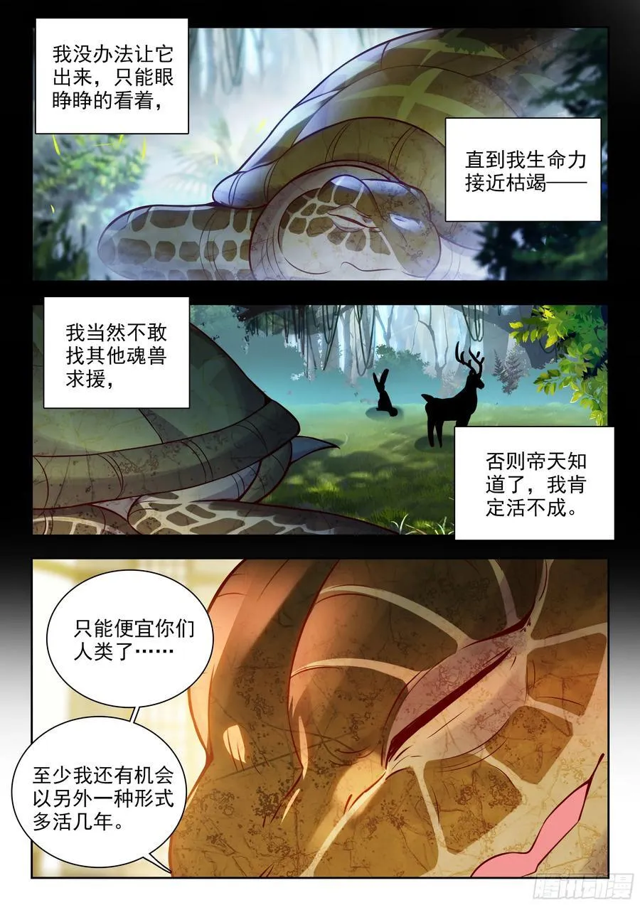 497 悲剧的黄金玳瑁 第14页