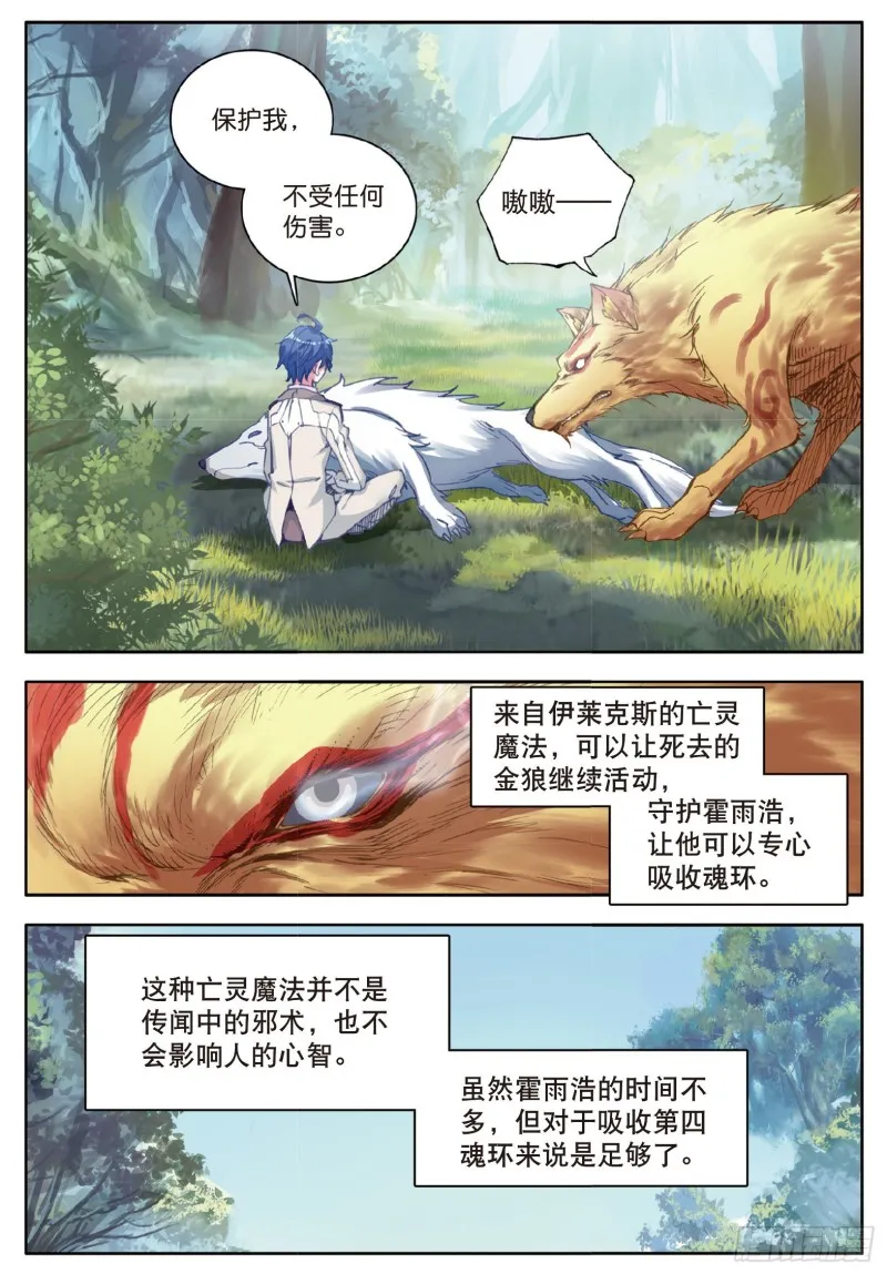 127 第四个魂环 第3页